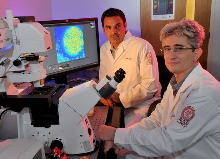 Dr Raphael Courjaret, Research Associate in Physiology and Biophysics, and Dr Khaled Machaca, Associate Dean for Research
