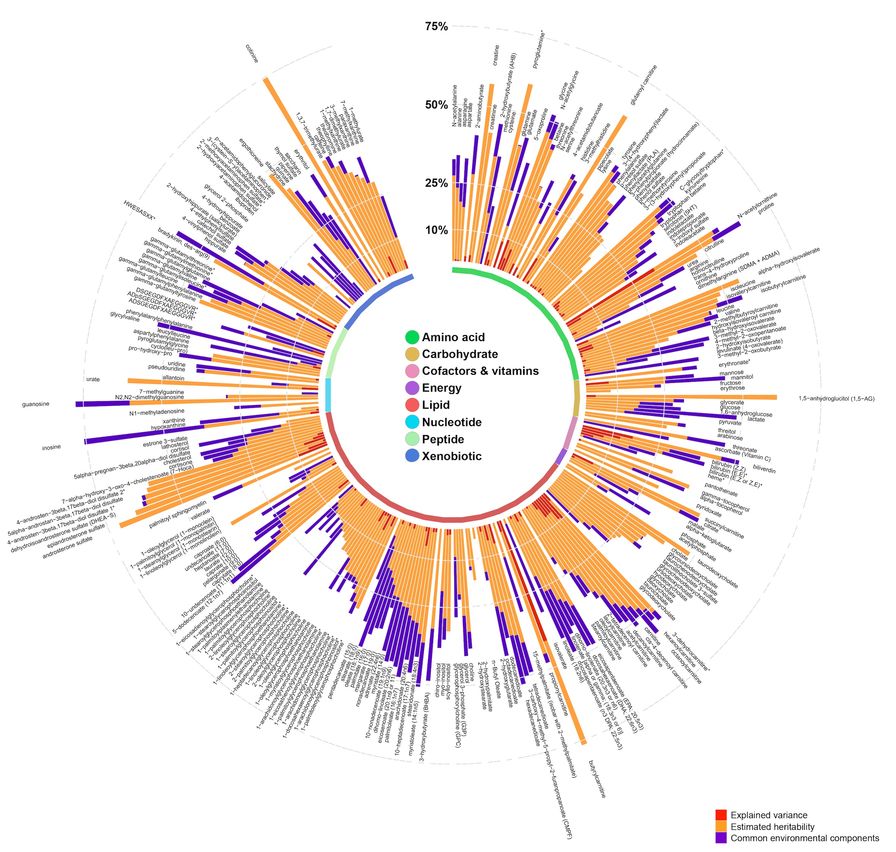 Metabolic Map of Human Body Created