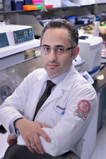 Najafi_2013.jpg