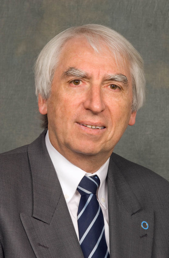 Professor Stephen Colagiuri, WISH Forum Chair for Diabetes