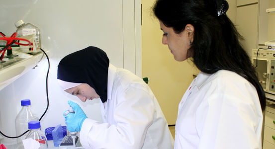 QBRI%20Image%202.jpg