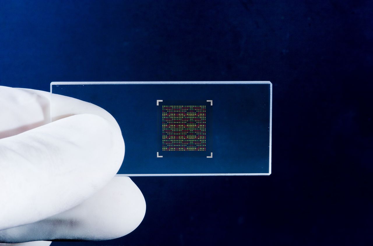 QCHIP - QGP - Copy.jpg